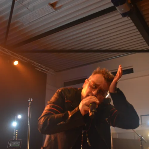 Aardenburg, 26/10/2024 -photo 5