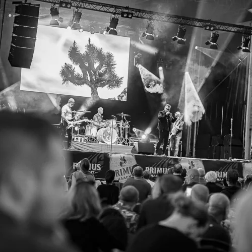 Haacht, 25/07/2025, Foto's Snapp-it -photo 6